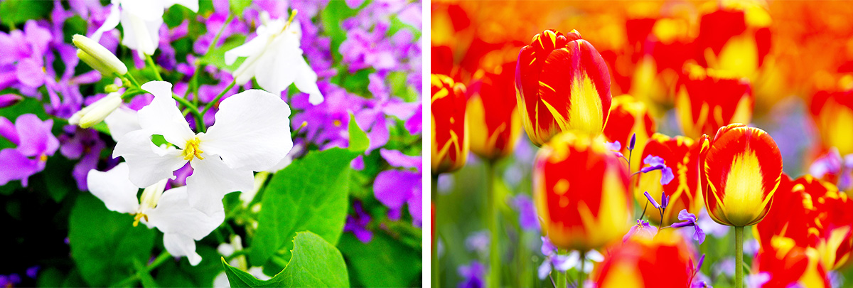 606411ecd716c.jpg 未標題-1.jpg